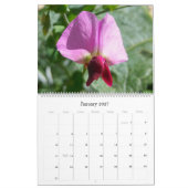Bloemen van Israël: Agenda 2017 Kalender (Jan 2027)