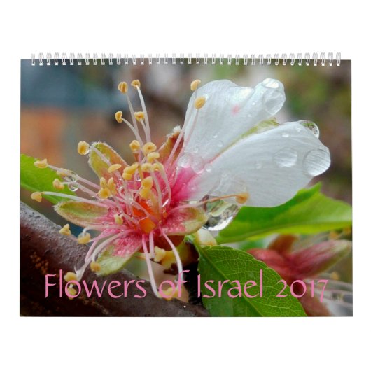 Bloemen van Israël: Agenda 2017 Kalender (Hoes)