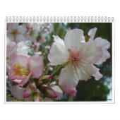 Bloemen van Israël Kalender (Hoes)