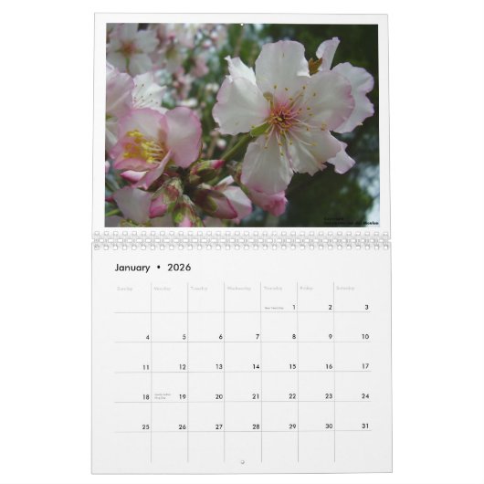 Bloemen van Israël Kalender (Jan 2026)