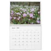 Bloemen van Israël Kalender (Mar 2027)