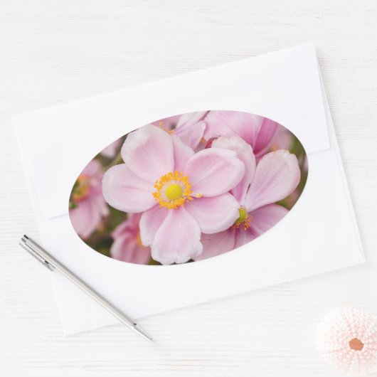Bloemen van Japanse anemone Ovale Sticker (Envelop)