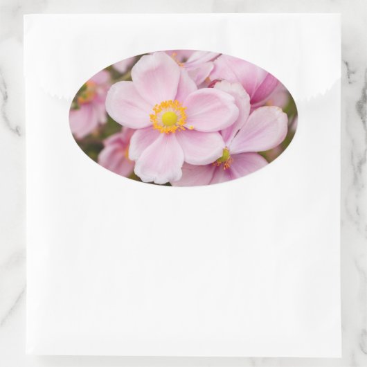 Bloemen van Japanse anemone Ovale Sticker (Tas)