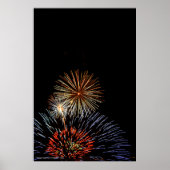 Bloemen van lichte afdrukken poster (Voorkant)