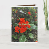 bloemen van liefde van iemand die erom geeft. kaart (Voorkant)