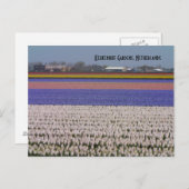 Bloemen van Nederland Briefkaart (Voorkant / Achterkant)