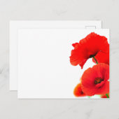 Bloemen van papavers op witte bodem in het feestdagenkaart (Voorkant / Achterkant)