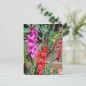 Bloemen van rode en roze gladiolus briefkaart (Staand voorkant)