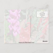 Bloemen van rode en roze gladiolus briefkaart (Achterkant)