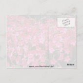 bloemen van roze bloemen (Nicotiana Alata) Briefkaart (Achterkant)