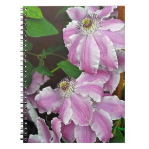 Bloemen van roze en witte luis notitieboek