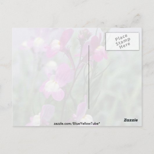 Bloemen van roze Toadflax (Linaria Maroccana) Briefkaart (Achterkant)