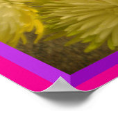 Bloemen van vele kleuren Poster (Hoek)