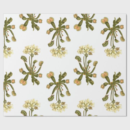 bloemen van venus flyval cadeaupapier (Vlak)