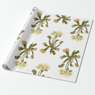 bloemen van venus flyval cadeaupapier