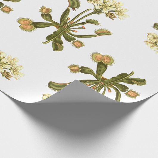 bloemen van venus flyval cadeaupapier (Hoek)