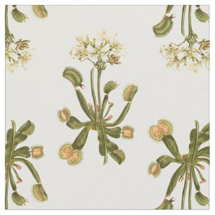 bloemen van venus flyval stof