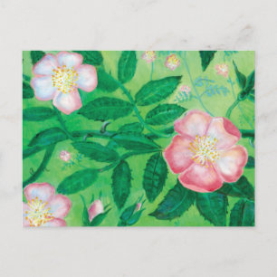 Bloemen van wilde rozen briefkaart