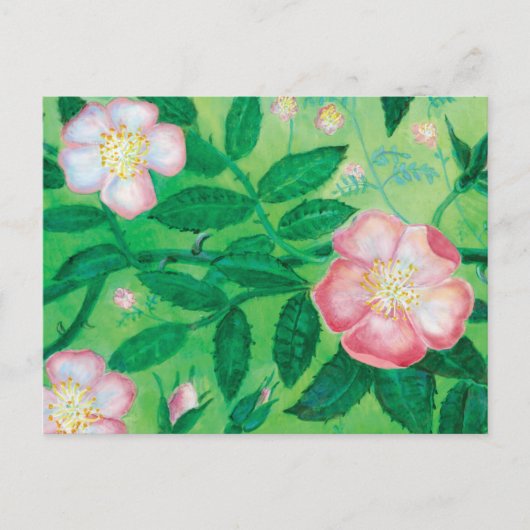 Bloemen van wilde rozen briefkaart (Voorkant)