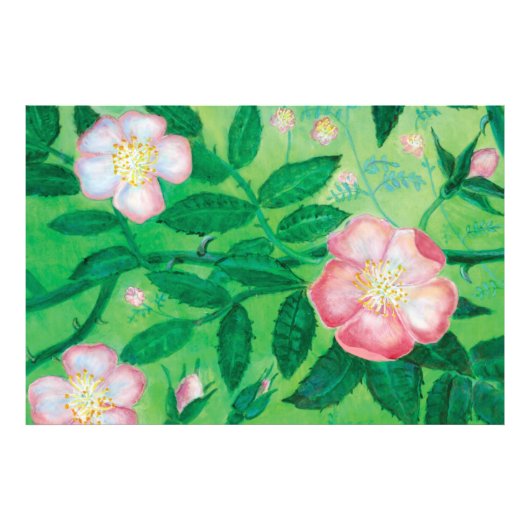 Bloemen van wilde rozen foto afdruk (Voorkant)