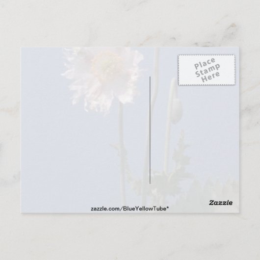bloemen van witte opiumpapaver (Papaver Somniferum Briefkaart (Achterkant)