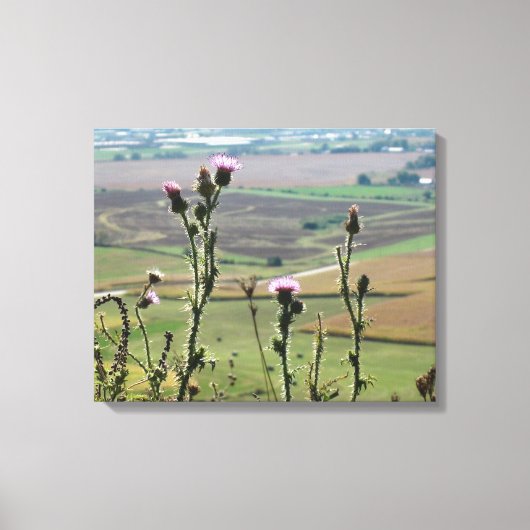 Bloemen vanaf de top van "The Mound" Platteville W Canvas Afdruk (Voorkant)