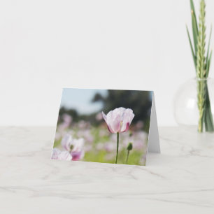 Bloemen veld met close up bloeiende lila bloem. bedankkaart