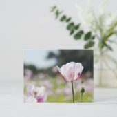 Bloemen veld met close up bloeiende lila bloem. briefkaart (Staand voorkant)