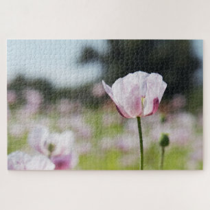 Bloemen veld met close up bloeiende lila bloem. legpuzzel