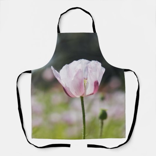 Bloemen veld met close up bloeiende lila bloem. schort (Voorkant)