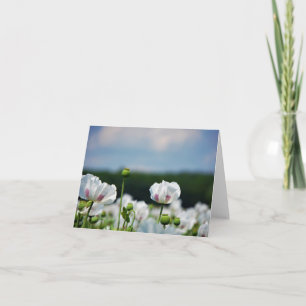 Bloemen veld, Papaver somneferum maanzaad bloem. Bedankkaart
