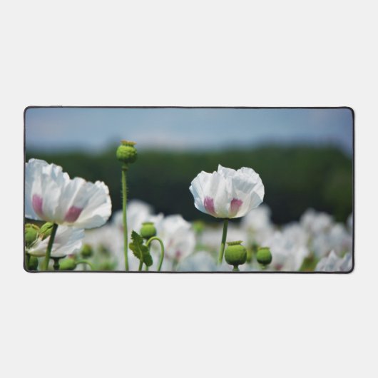 Bloemen veld, Papaver somneferum maanzaad bloem. Bureaumat (Voorkant)