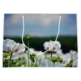 Bloemen veld, Papaver somneferum maanzaad bloem. Groot Cadeauzakje