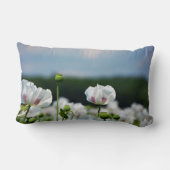 Bloemen veld, Papaver somneferum maanzaad bloem. Kussen (Achterkant)