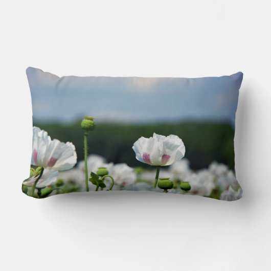 Bloemen veld, Papaver somneferum maanzaad bloem. Kussen (Voorkant)