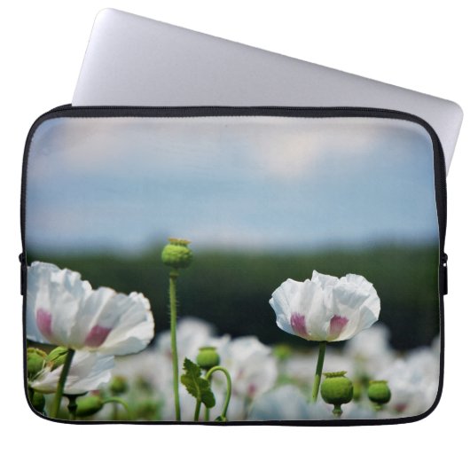 Bloemen veld, Papaver somneferum maanzaad bloem. Laptop Sleeve (Voorkant)