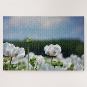 Bloemen veld, Papaver somneferum maanzaad bloem. Legpuzzel