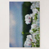 Bloemen veld, Papaver somneferum maanzaad bloem. Legpuzzel (Verticaal)