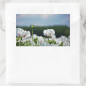 Bloemen veld, Papaver somneferum maanzaad bloem. Rechthoekige Sticker (Tas)