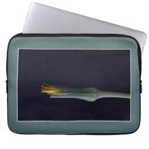 Bloemen Verborgen Schoonheid Klassieke Bloem Portr