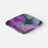 Bloemen verhalen/Aster Bloem Papieren Bordje (Gebogen)