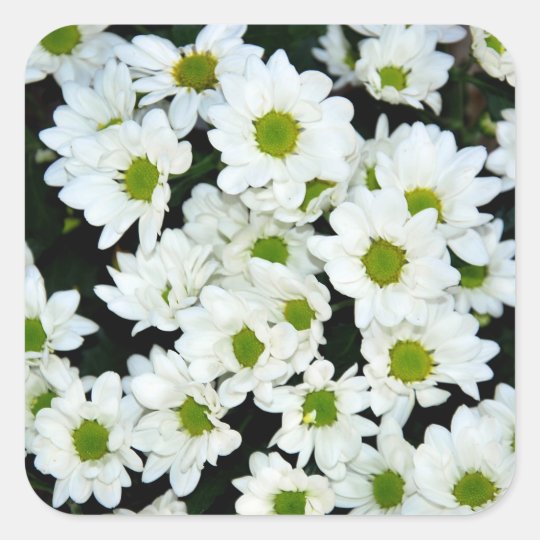 Bloemen Vierkante Sticker