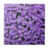 Bloemen - Violet - Prachtig Tegeltje (Voorkant)