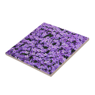 Bloemen - Violet - Prachtig Tegeltje