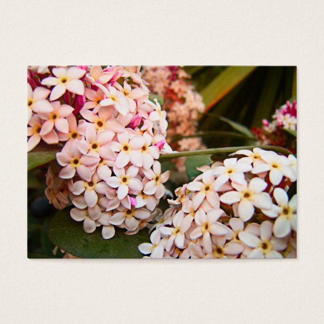 Bloemen Visitekaartje (Voorkant)