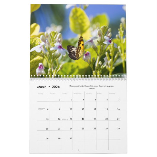 Bloemen, vlinders en vogels 12 maanden kalender (Mar 2026)