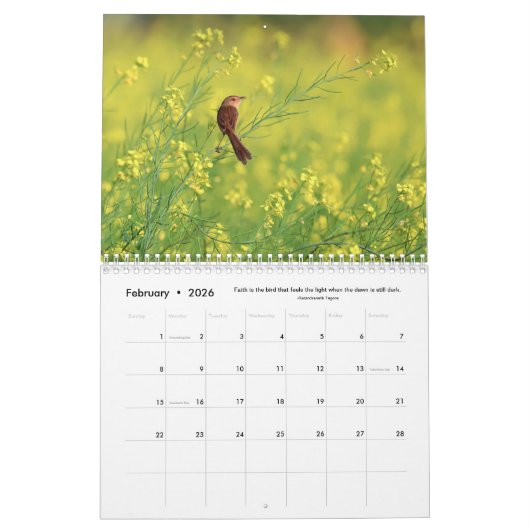 Bloemen, vlinders en vogels 12 maanden kalender (Feb 2026)