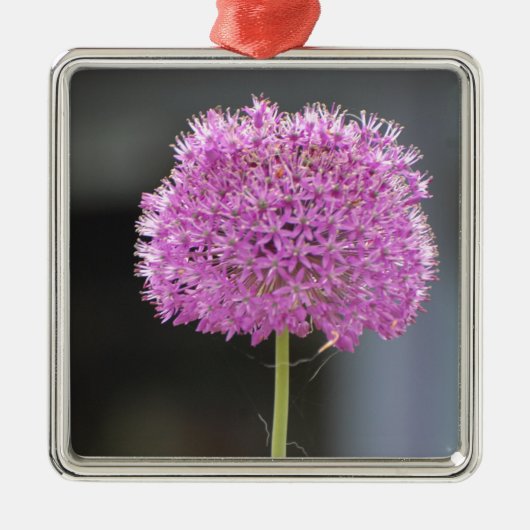 Bloemen voor allen metalen ornament (Voorkant)