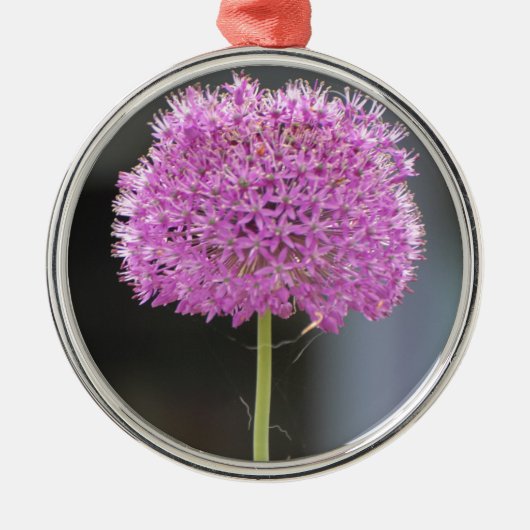 Bloemen voor allen metalen ornament (Voorkant)