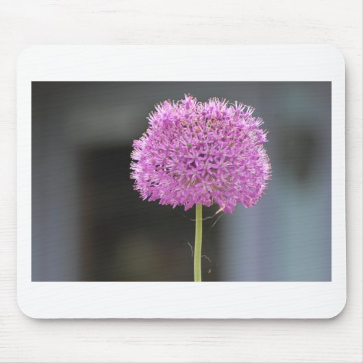 Bloemen voor allen muismat (Voorkant)